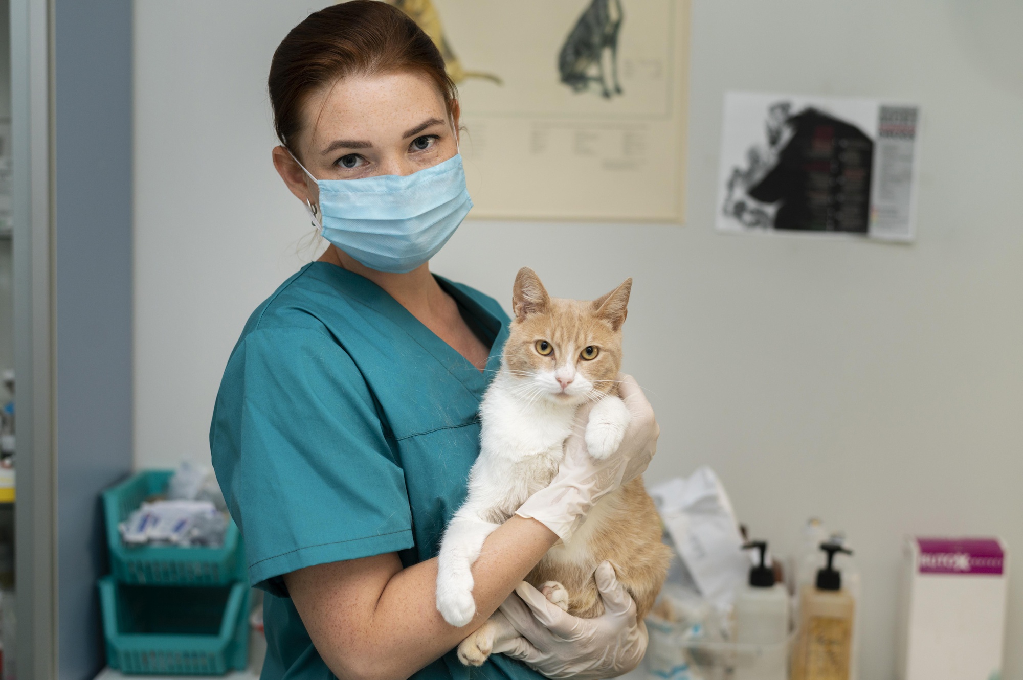 Técnico Laboral Auxiliar en Veterinaria